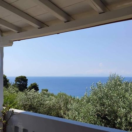 דירות פטיטיריון Elia House 1 Astoning Sea View Among The Olive Trees מראה חיצוני תמונה