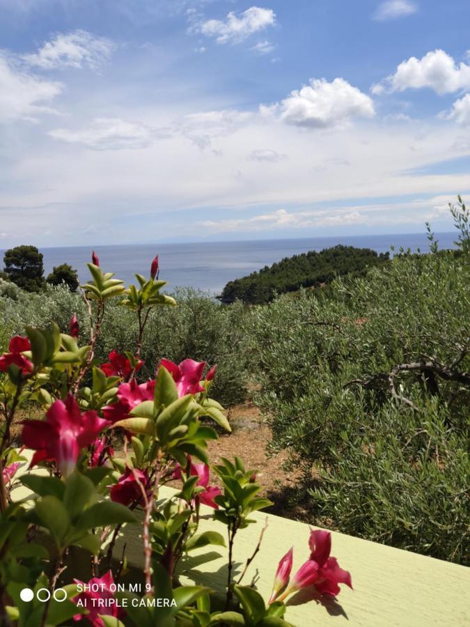 דירות פטיטיריון Elia House 1 Astoning Sea View Among The Olive Trees מראה חיצוני תמונה