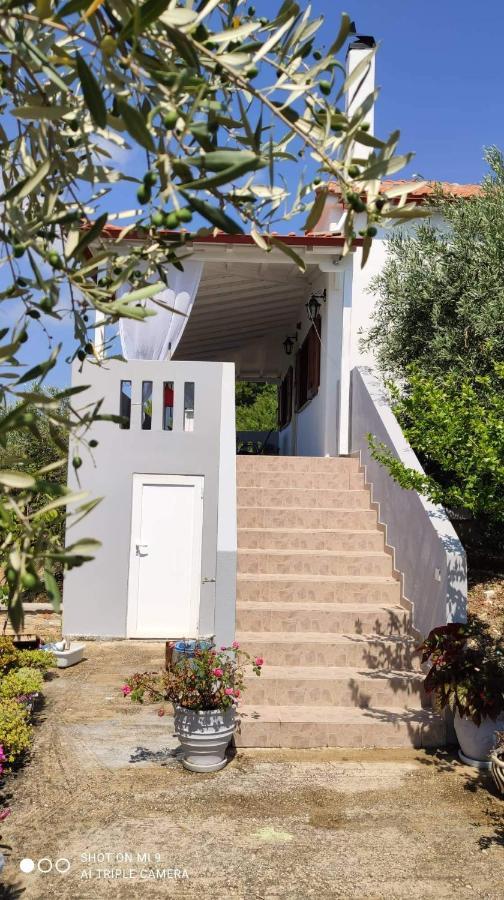 דירות פטיטיריון Elia House 1 Astoning Sea View Among The Olive Trees מראה חיצוני תמונה